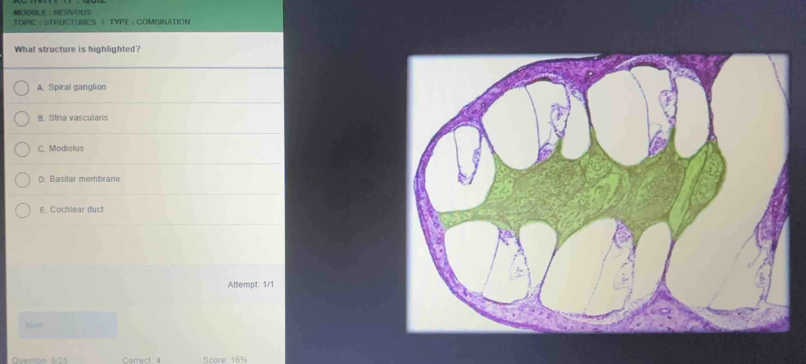 module: nervous topic: structures / type: combination what structure is…