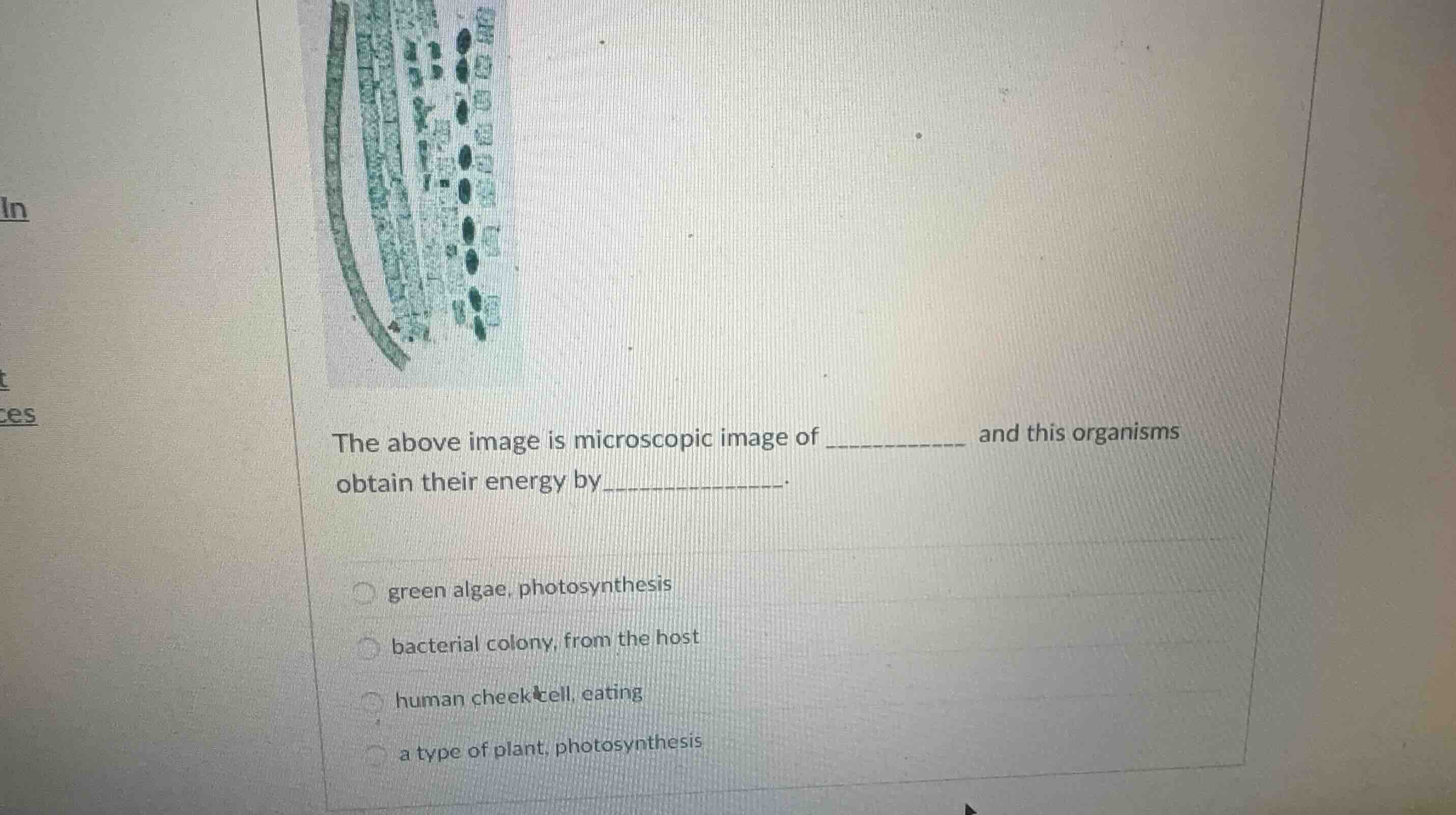the above image is microscopic image of \\_\\_\\_\\_\\_\\_\\_\\_\\_\\_\…