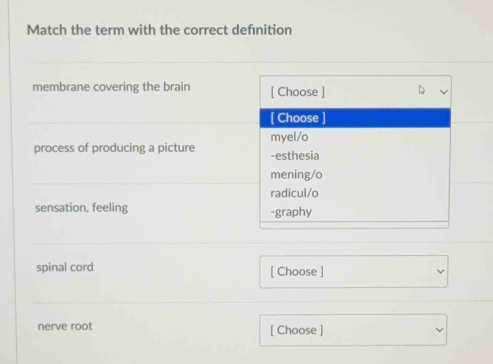 match the term with the correct definition membrane covering the brain …