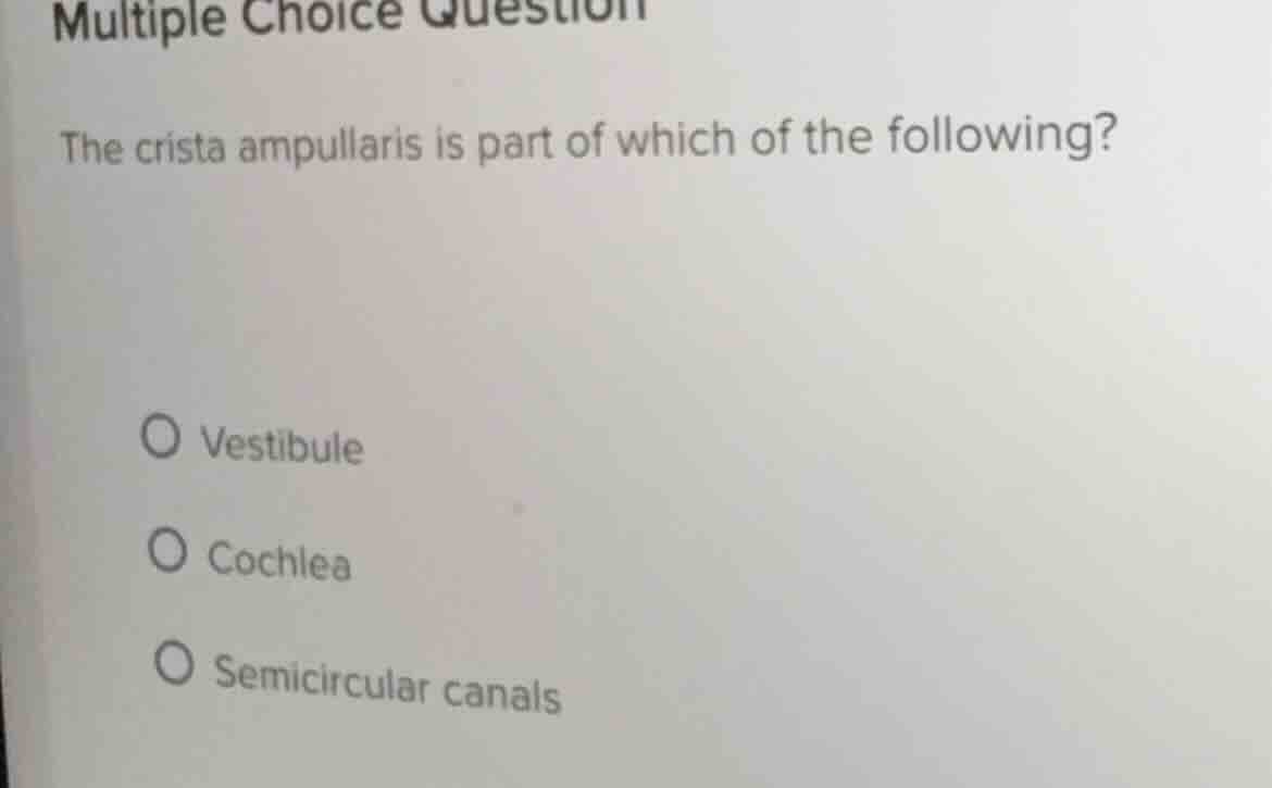 multiple choice question the crista ampullaris is part of which of the …