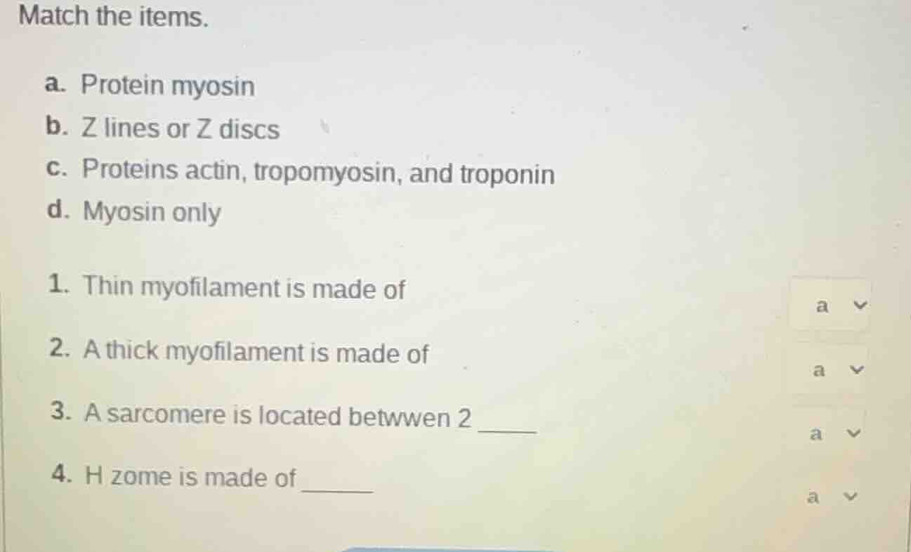 match the items. a. protein myosin b. z lines or z discs c. proteins ac…