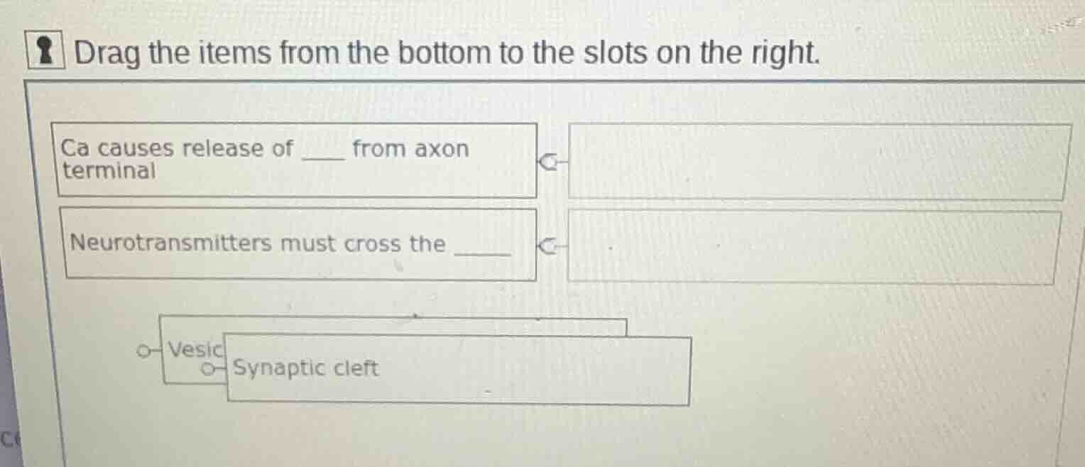 drag the items from the bottom to the slots on the right. ca causes rel…