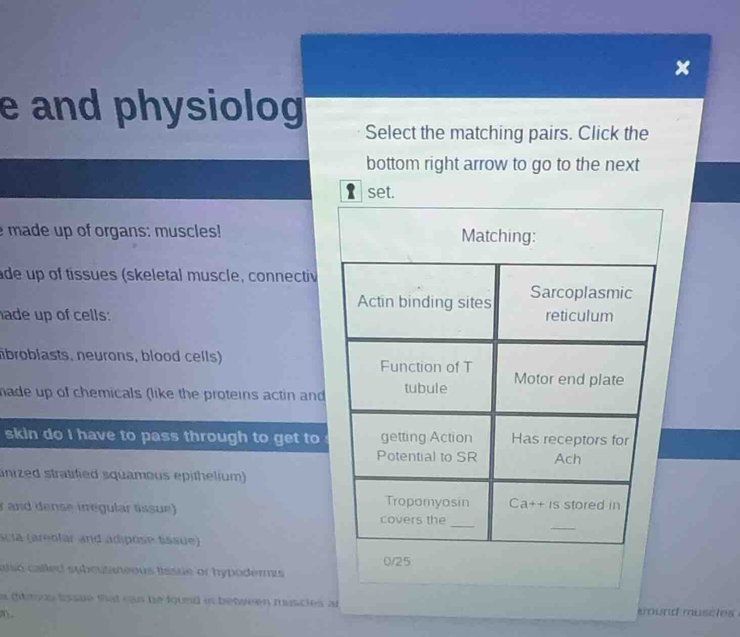 select the matching pairs. click the bottom right arrow to go to the ne…