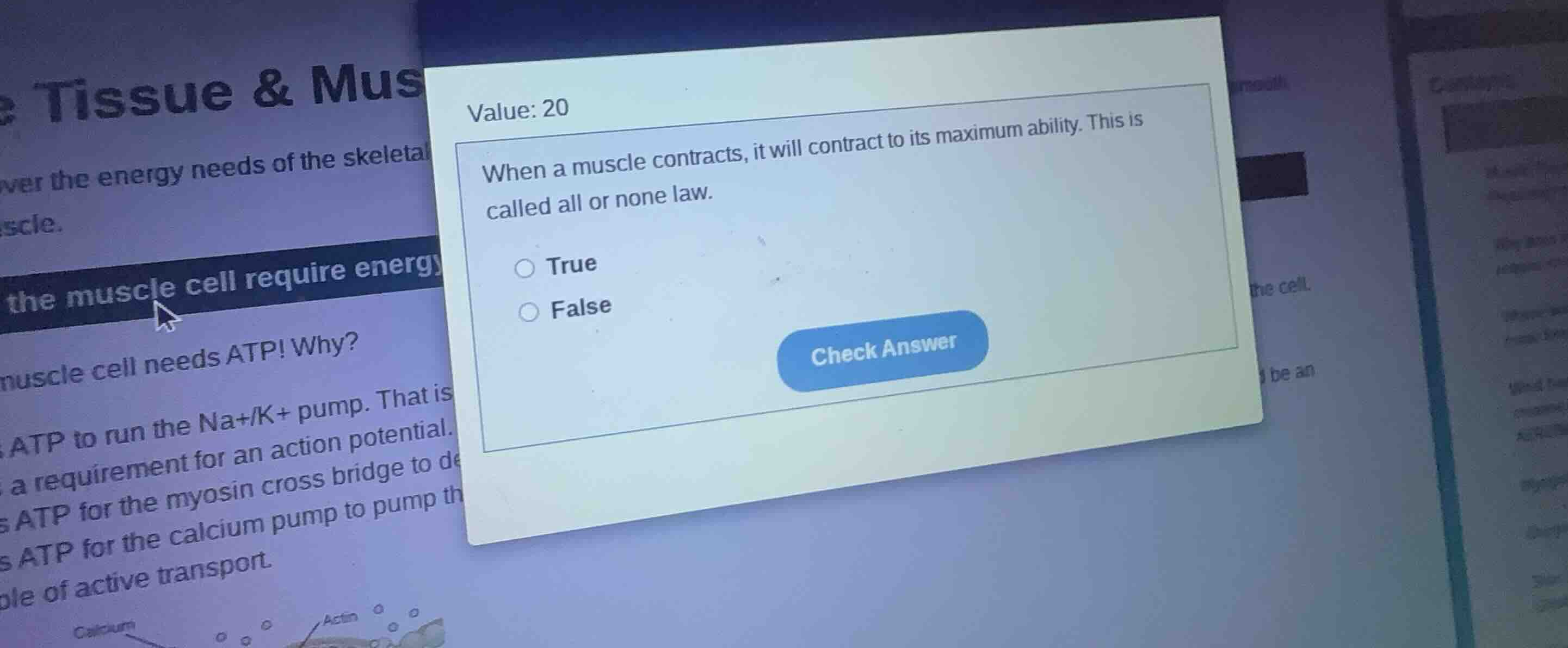 value: 20 when a muscle contracts, it will contract to its maximum abil…