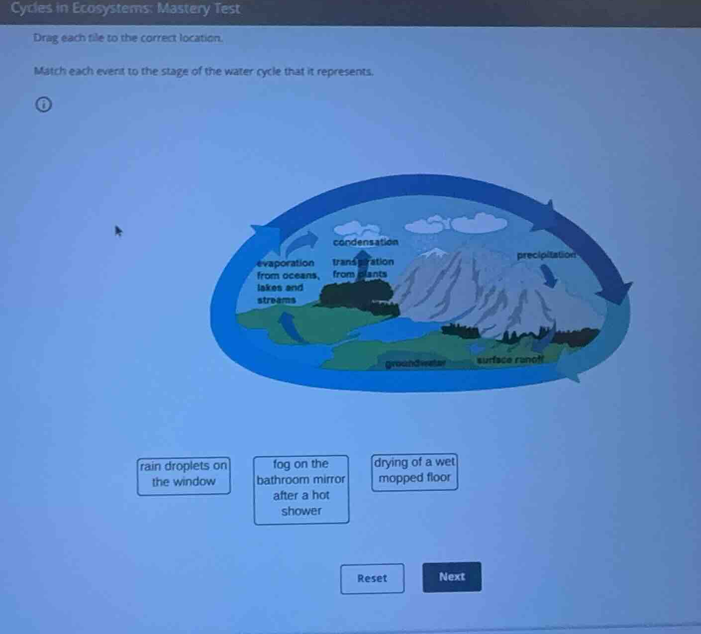 cycles in ecosystems: mastery test drag each tile to the correct locati…