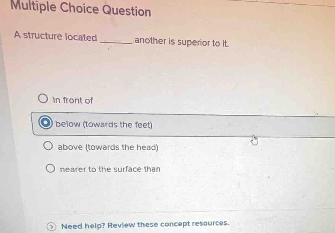 multiple choice question a structure located _______ another is superio…