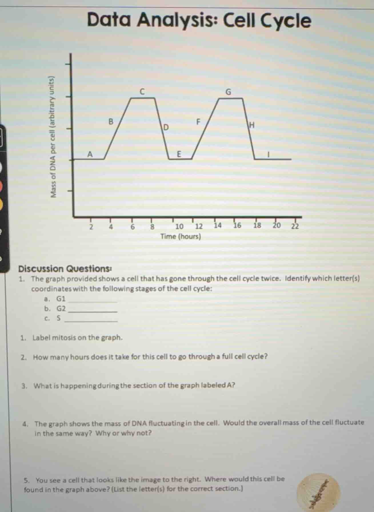 data analysis: cell cycle discussion questions: 1. the graph provided s…