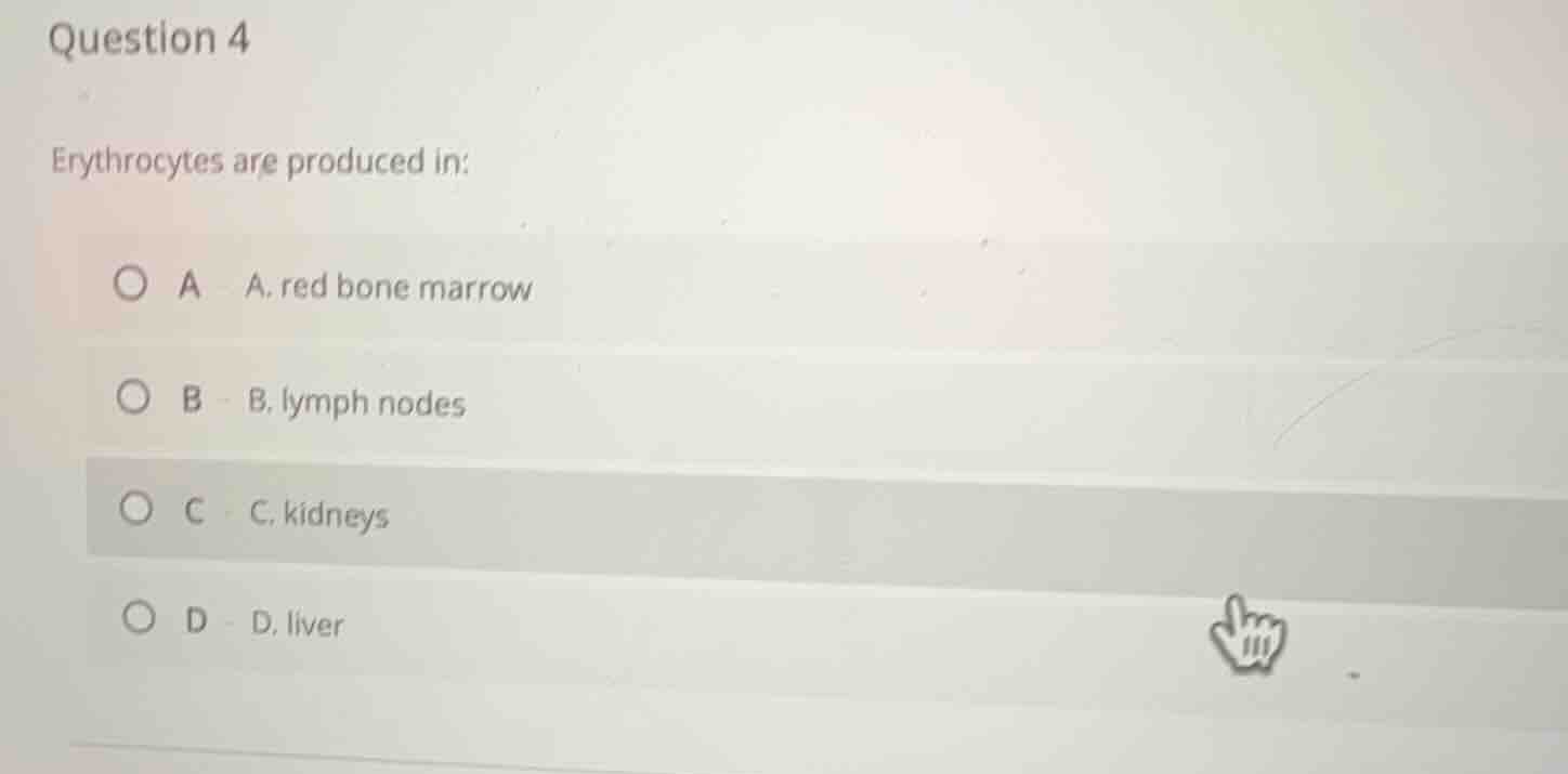 question 4 erythrocytes are produced in: a. red bone marrow b. lymph no…