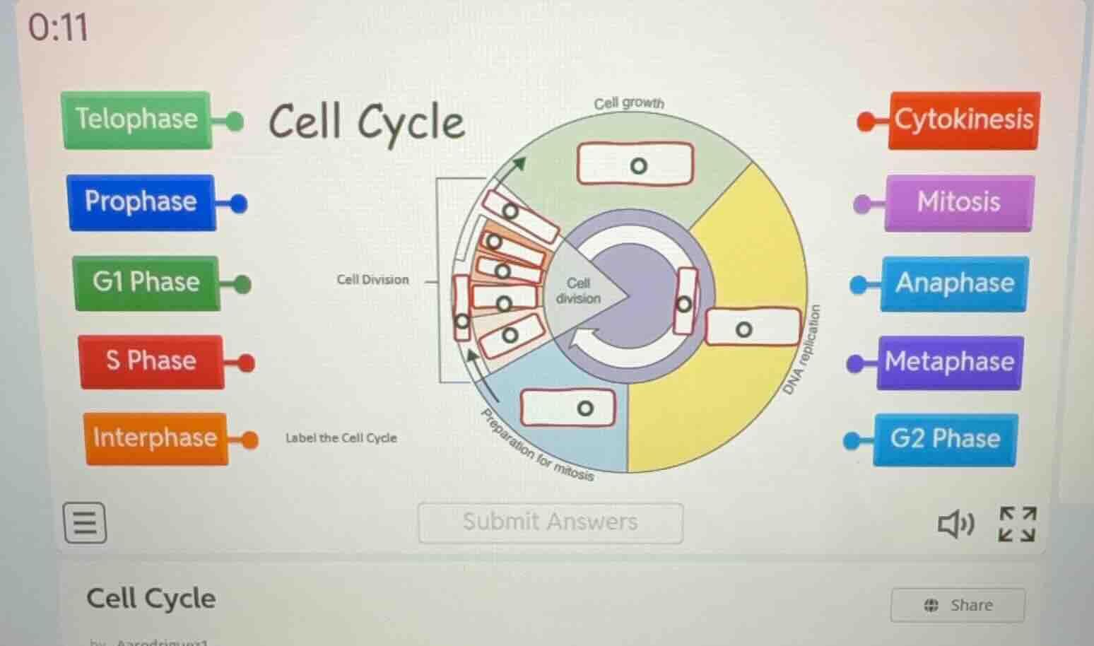 cell cycle label the cell cycle cell growth cell division dna replicati…