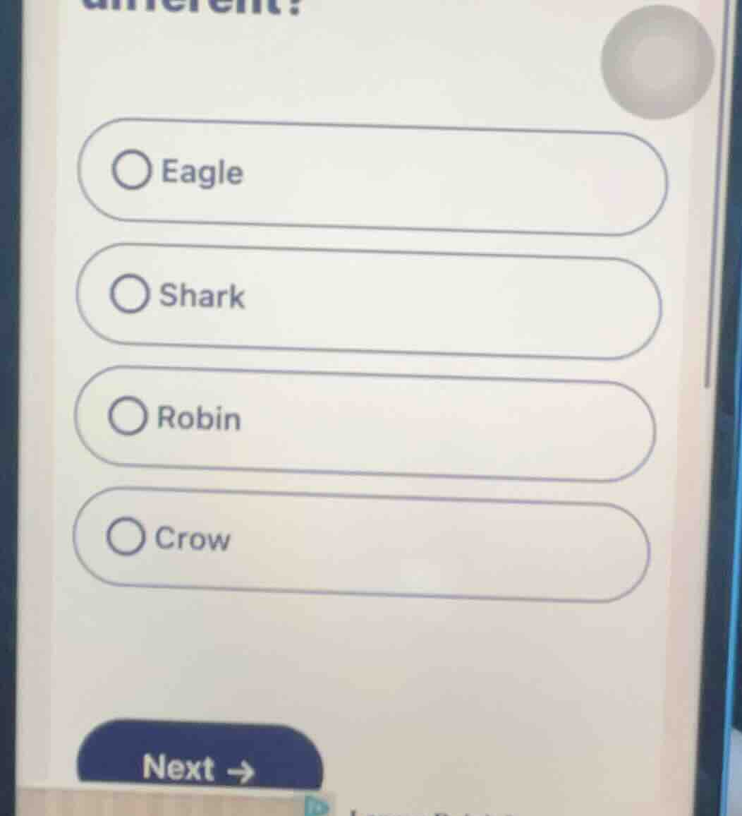 different? eagle shark robin crow