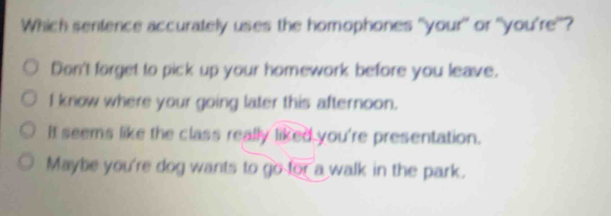 which sentence accurately uses the homophones \your\ or \youre\? dont f…