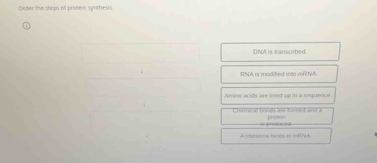 order the steps of protein synthesis. dna is transcribed. rna is modifi…