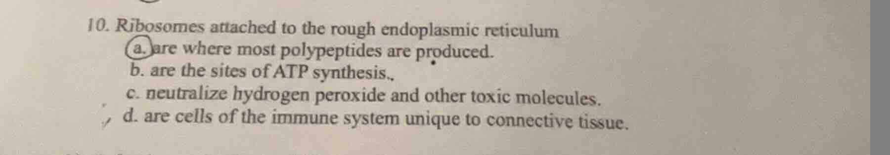 10. ribosomes attached to the rough endoplasmic reticulum a. are where …