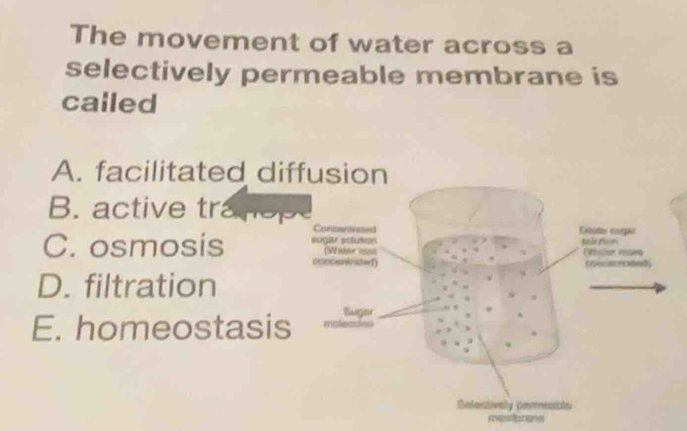 the movement of water across a selectively permeable membrane is called…