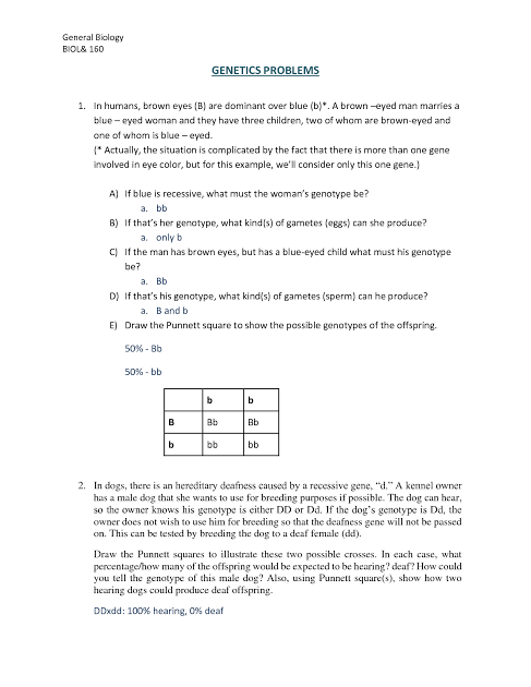 general biology biol& 160 genetics problems 1. in humans, brown eyes (b…
