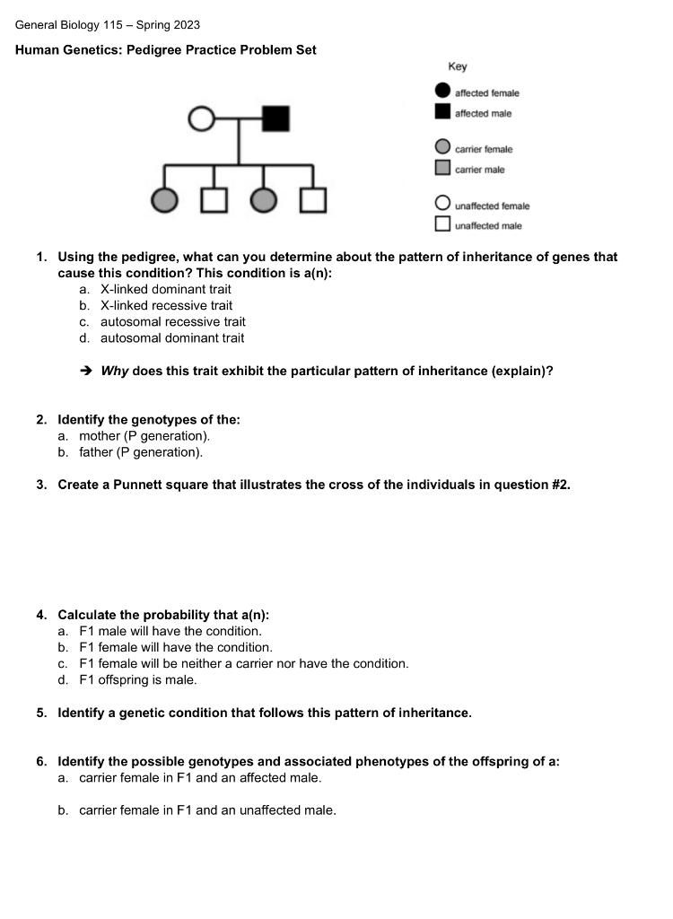 general biology 115 - spring 2023 human genetics: pedigree practice pro…