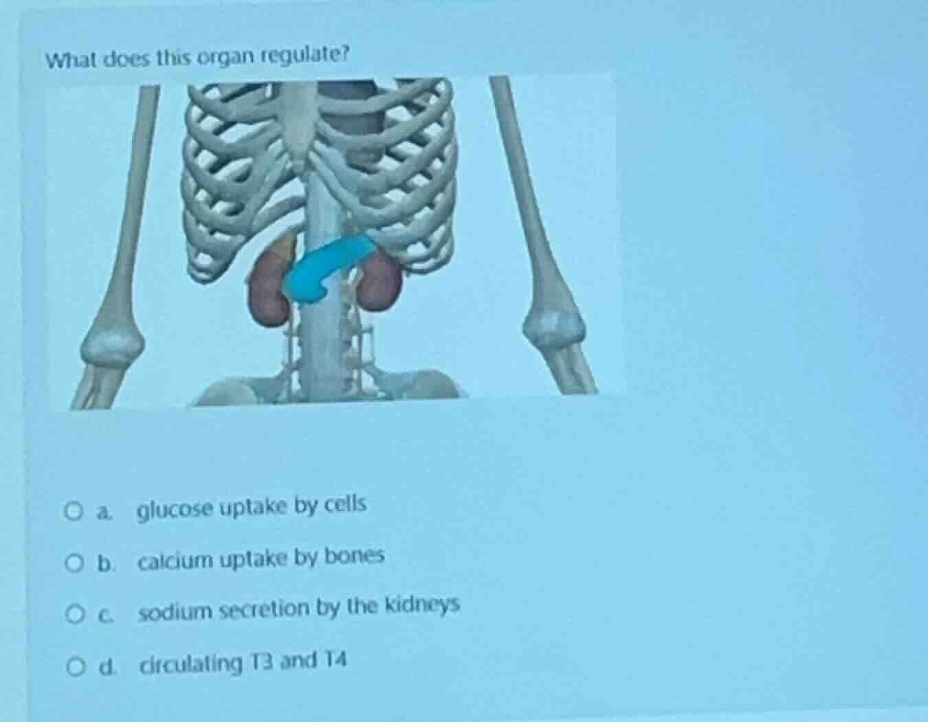 what does this organ regulate? a. glucose uptake by cells b. calcium up…