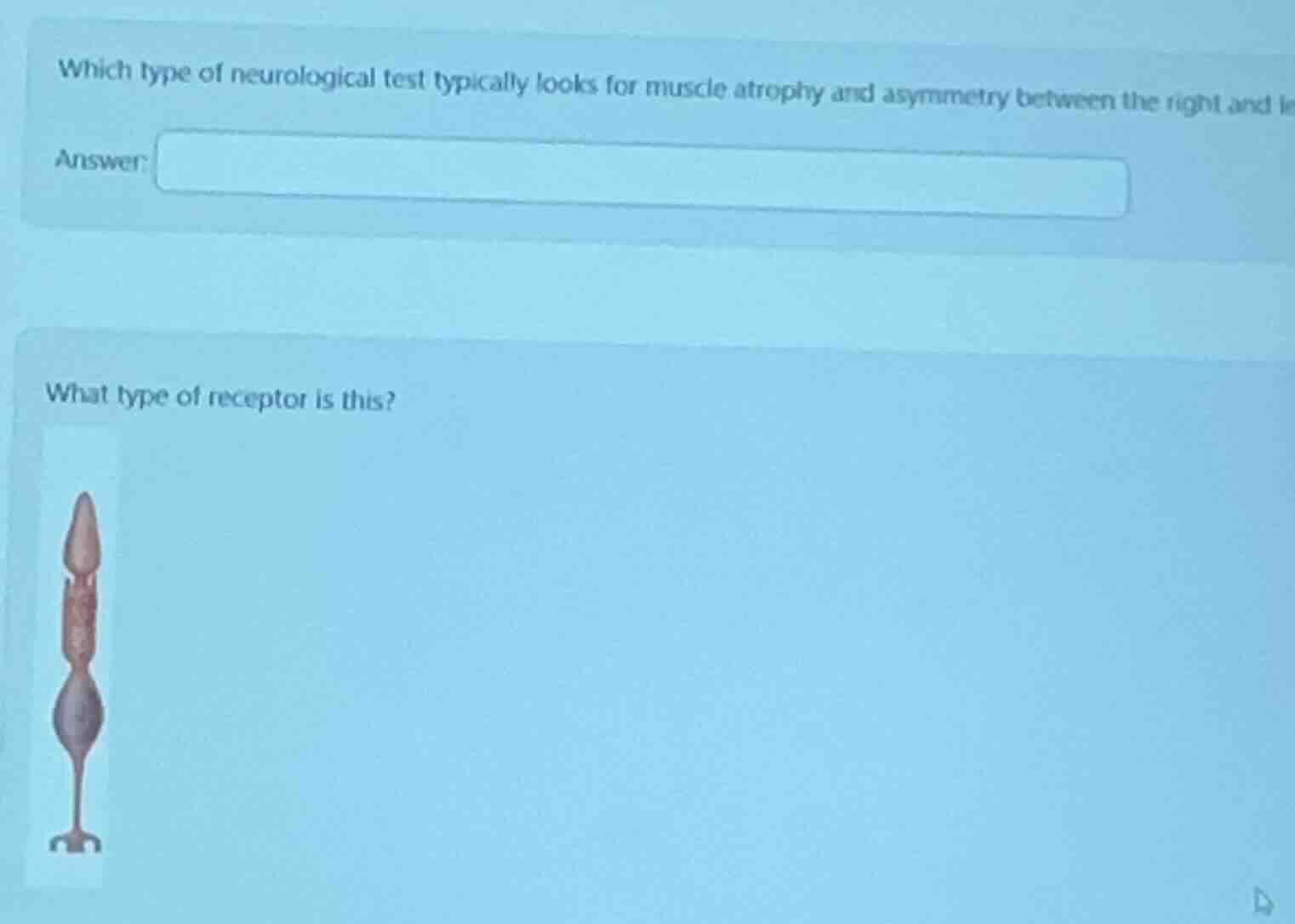 which type of neurological test typically looks for muscle atrophy and …