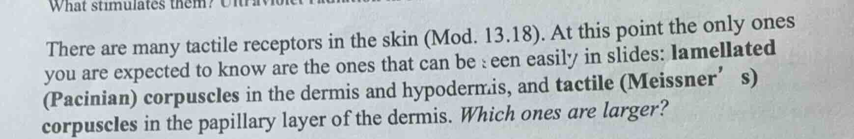 there are many tactile receptors in the skin (mod. 13.18). at this poin…