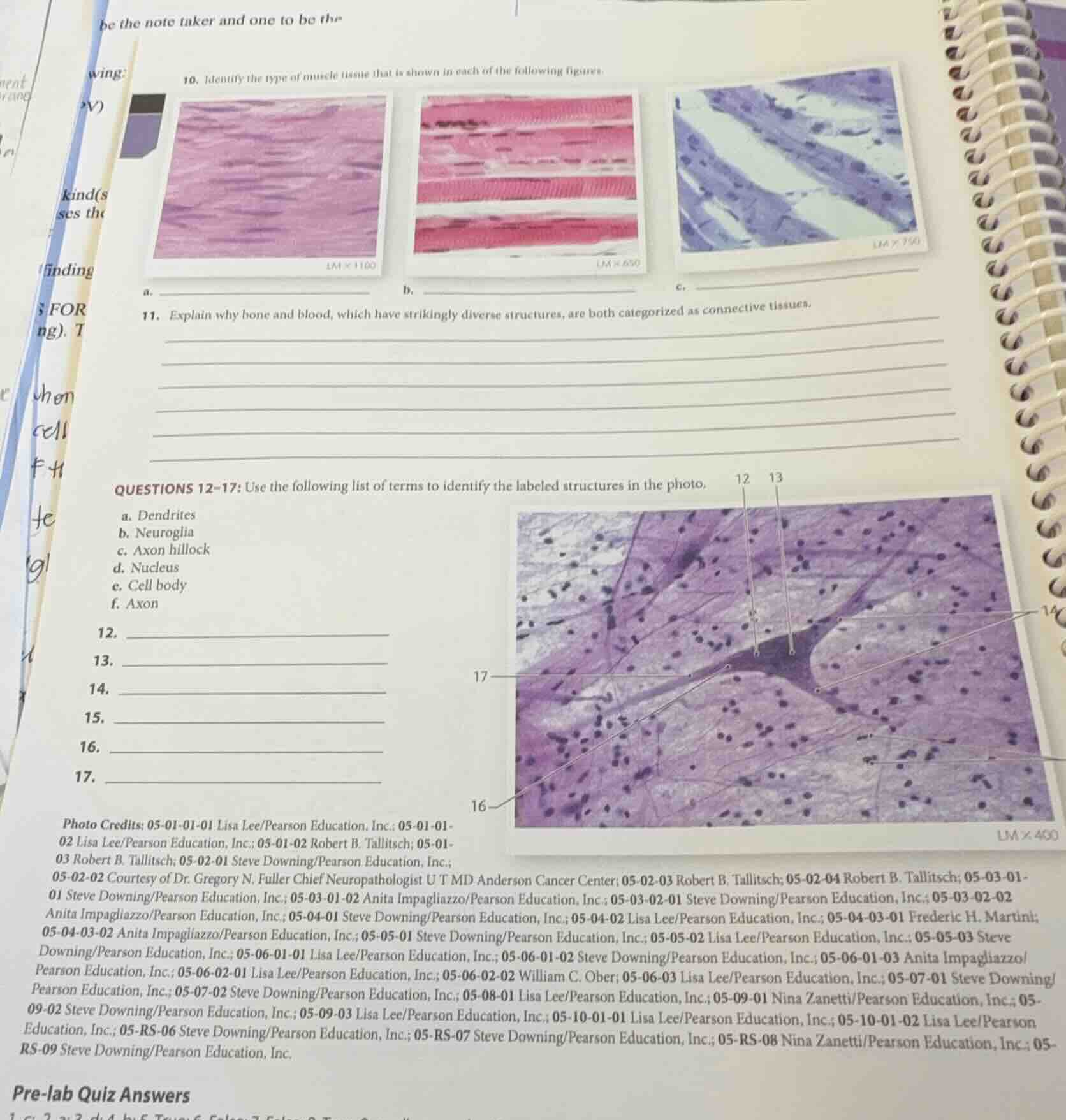 10. identify the type of muscle tissue that is shown in each of the fol…