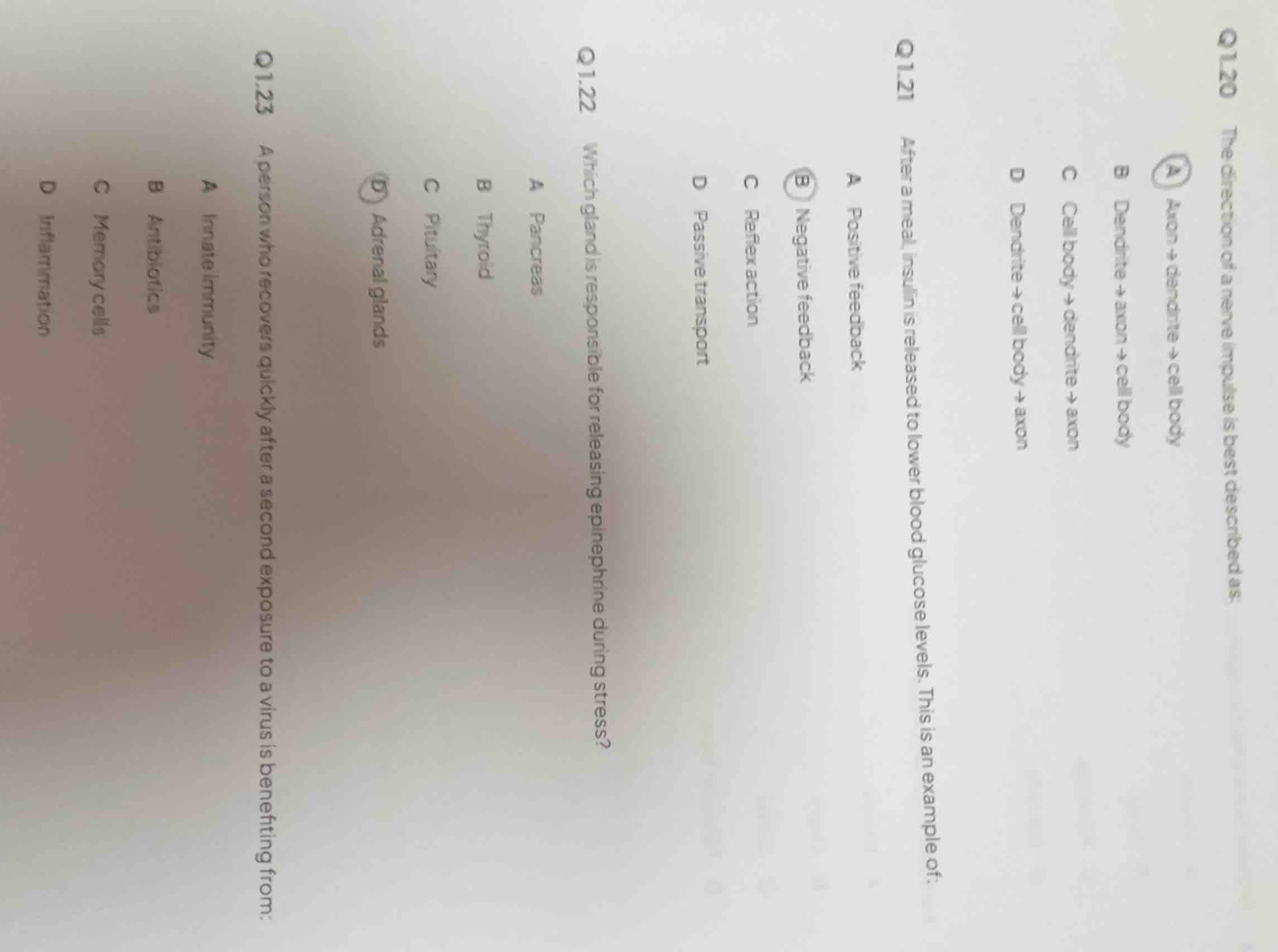 q 1.20 the direction of a nerve impulse is best described as: a axon ->…