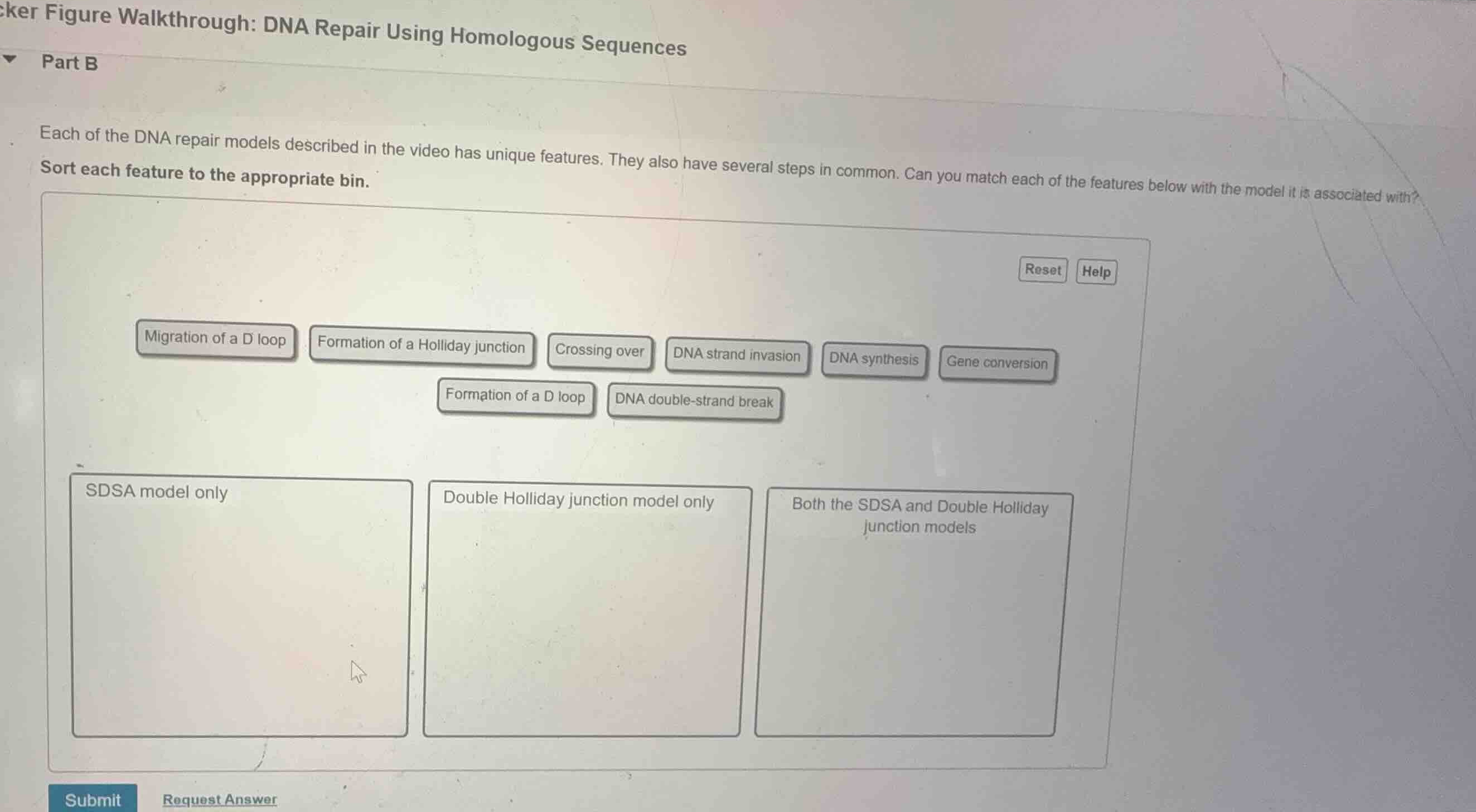 part b each of the dna repair models described in the video has unique …