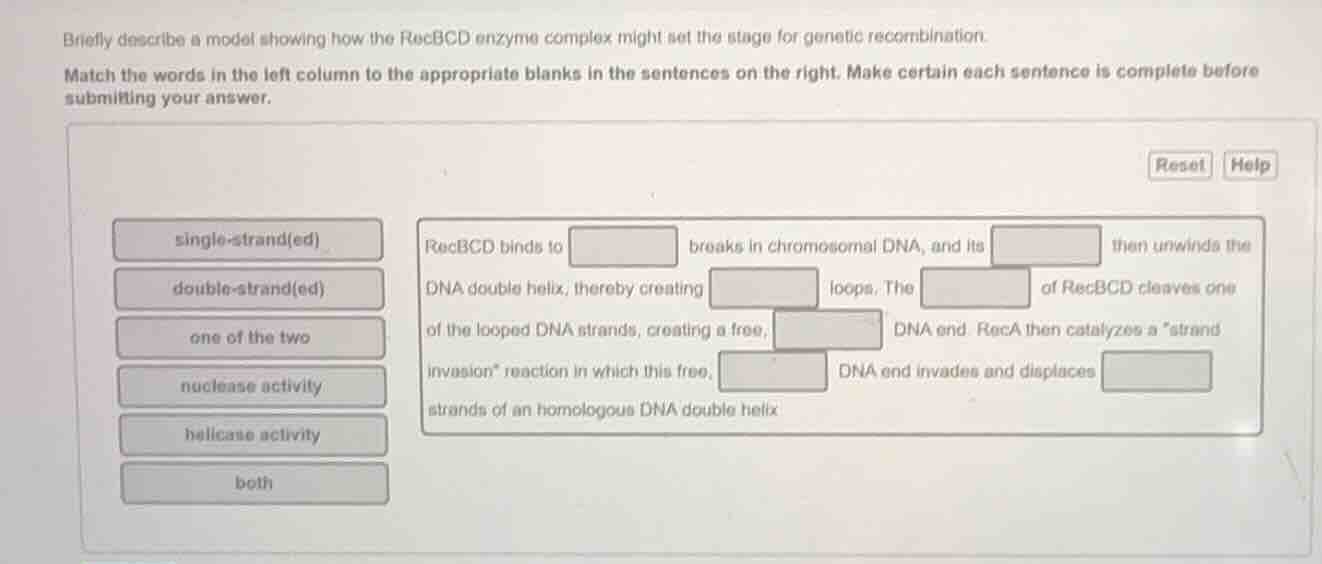 briefly describe a model showing how the recbcd enzyme complex might se…