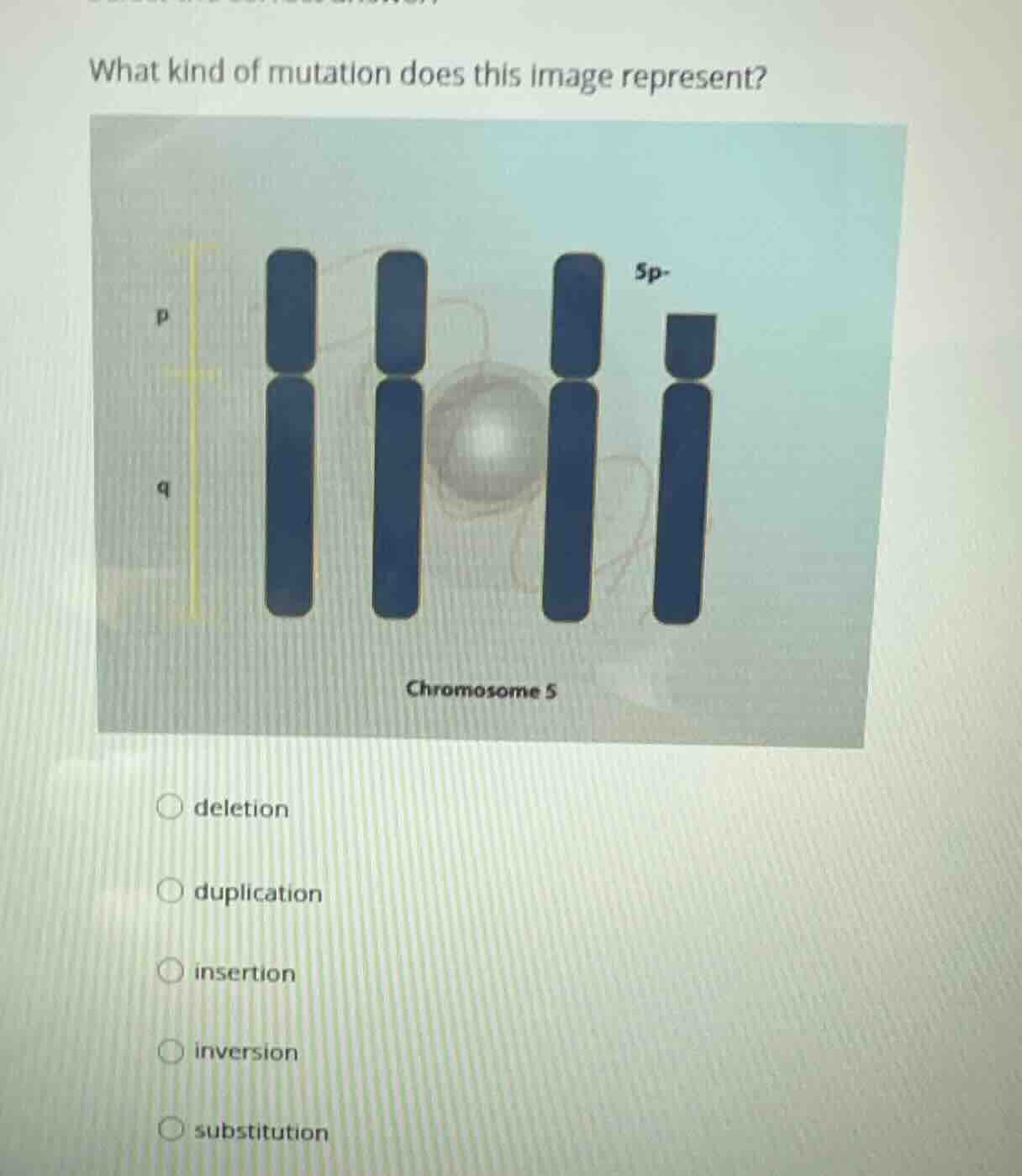 what kind of mutation does this image represent? deletion duplication i…