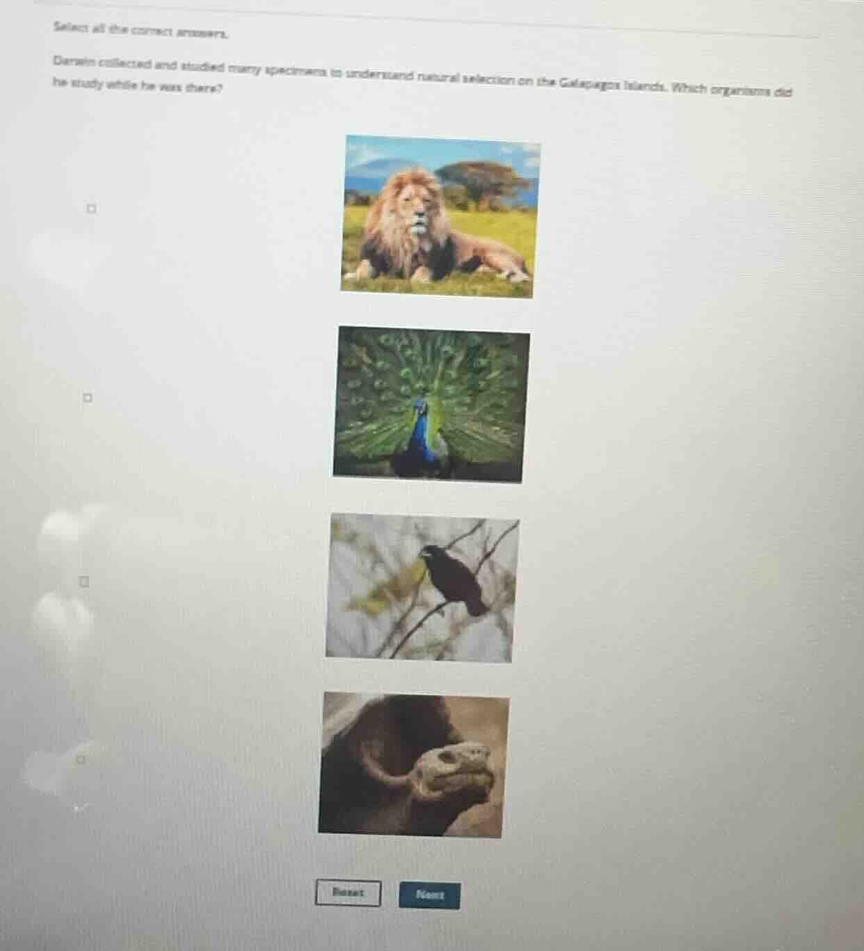 select all the correct answers. darwin collected and studied many speci…