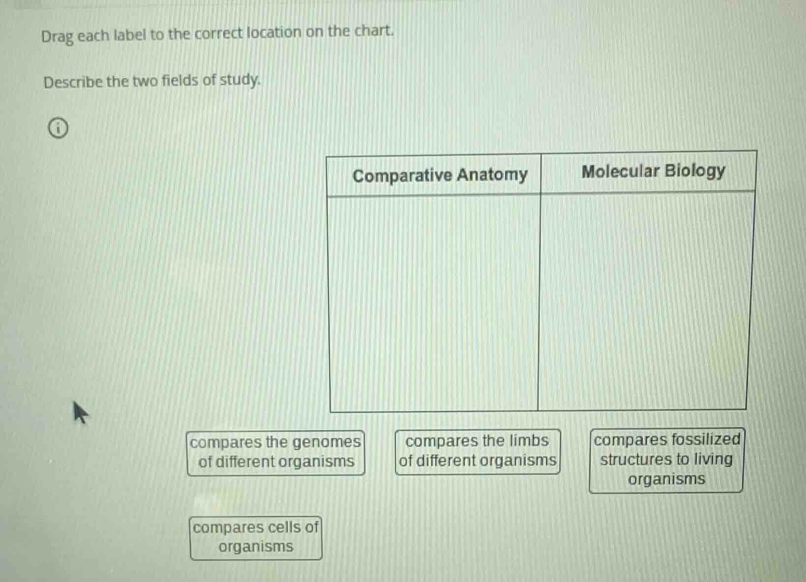 drag each label to the correct location on the chart. describe the two …