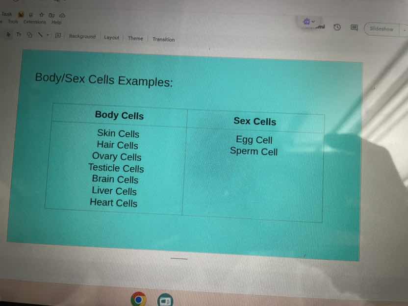 body/sex cells examples: body cells skin cells hair cells ovary cells t…