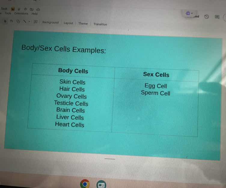 body/sex cells examples: body cells: skin cells hair cells ovary cells …