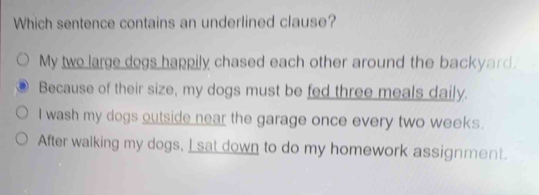 which sentence contains an underlined clause? my two large dogs happily…