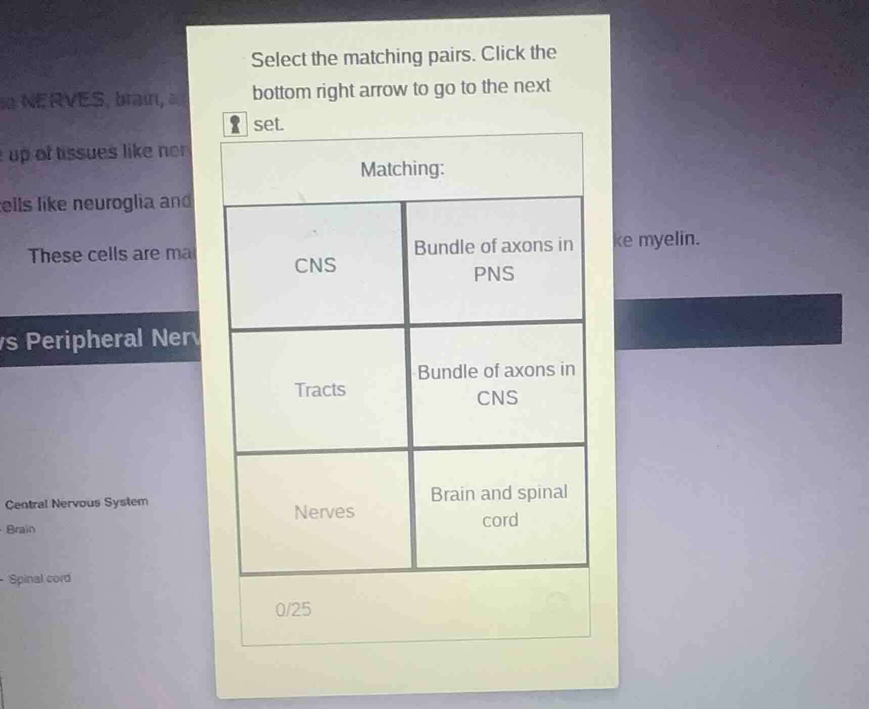 select the matching pairs. click the bottom right arrow to go to the ne…