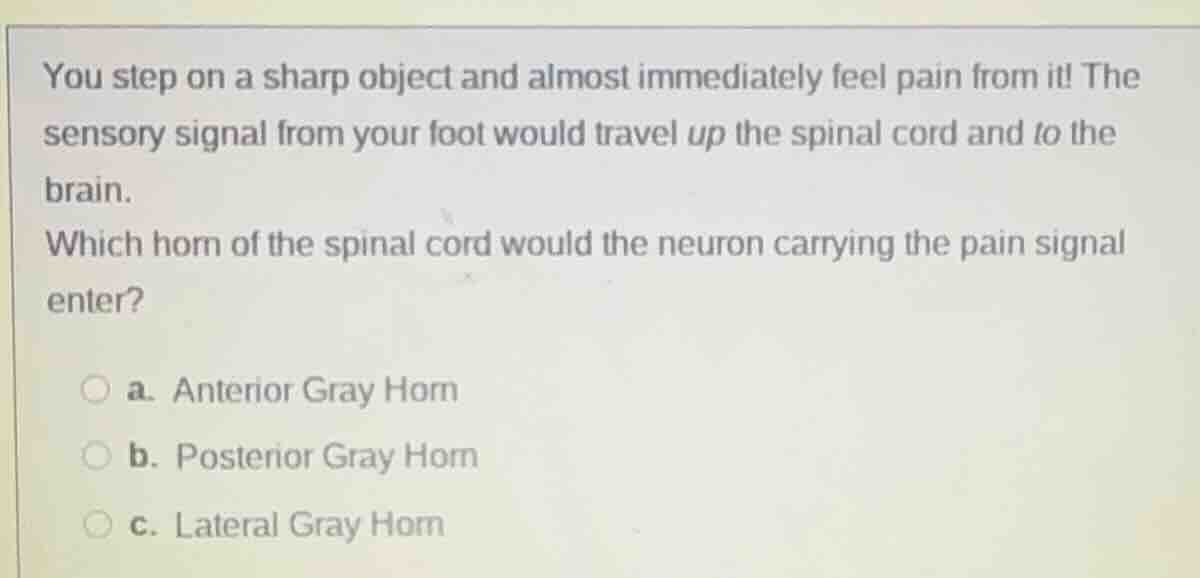 you step on a sharp object and almost immediately feel pain from it! th…