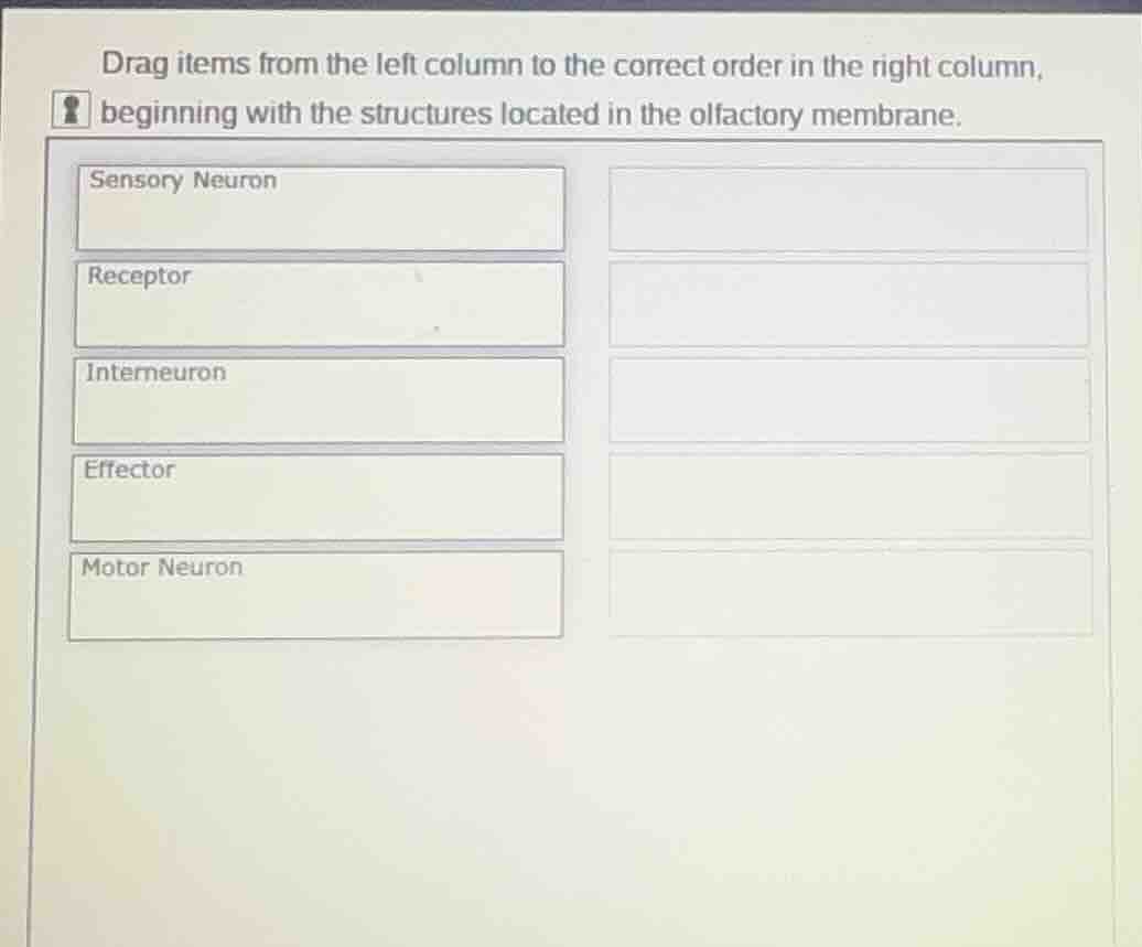 drag items from the left column to the correct order in the right colum…
