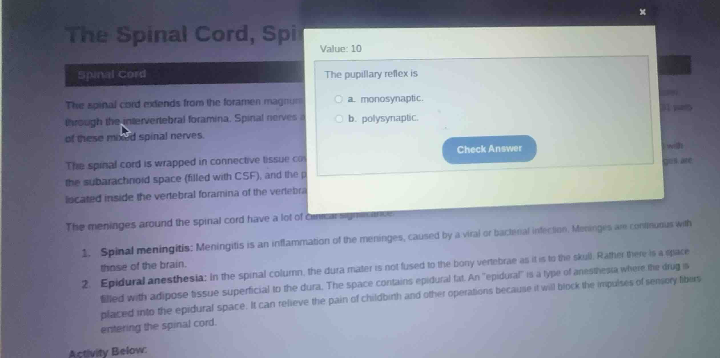 the pupillary reflex is a. monosynaptic. b. polysynaptic.