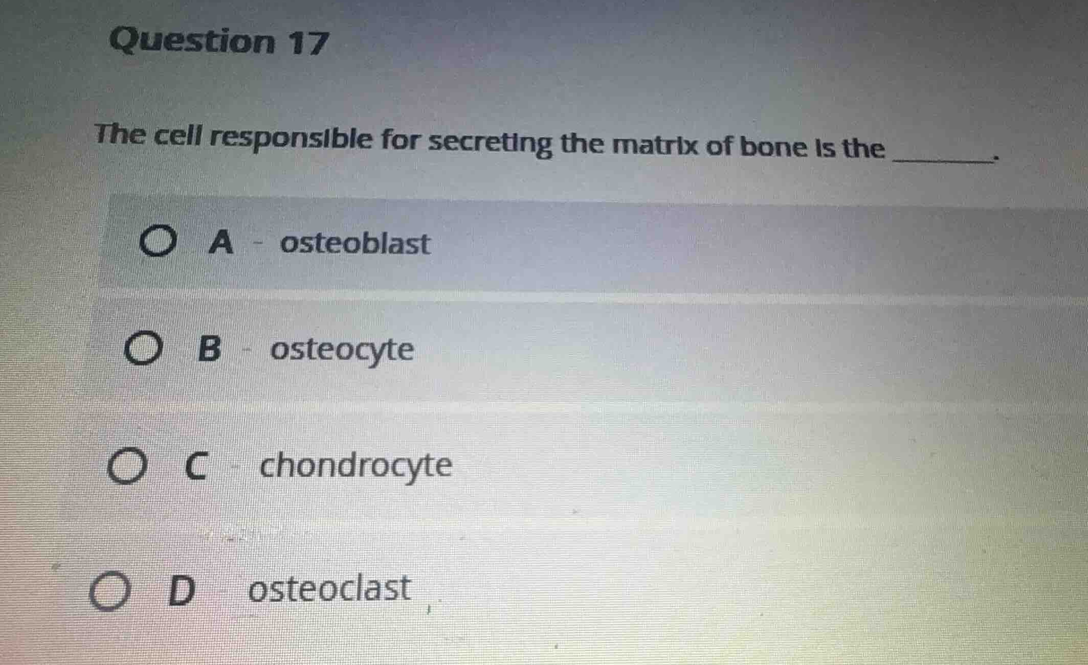 question 17 the cell responsible for secreting the matrix of bone is th…