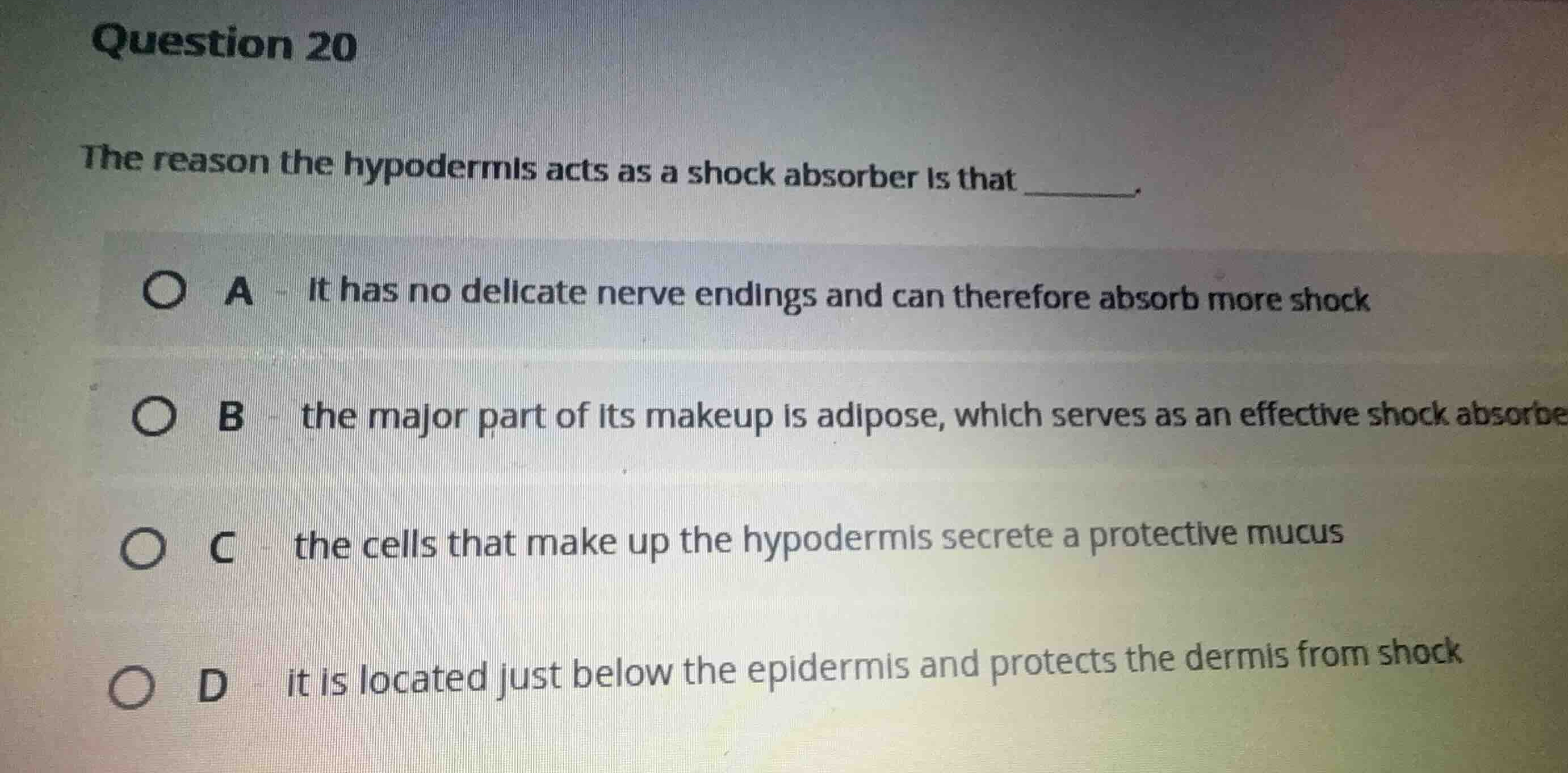 question 20 the reason the hypodermis acts as a shock absorber is that …