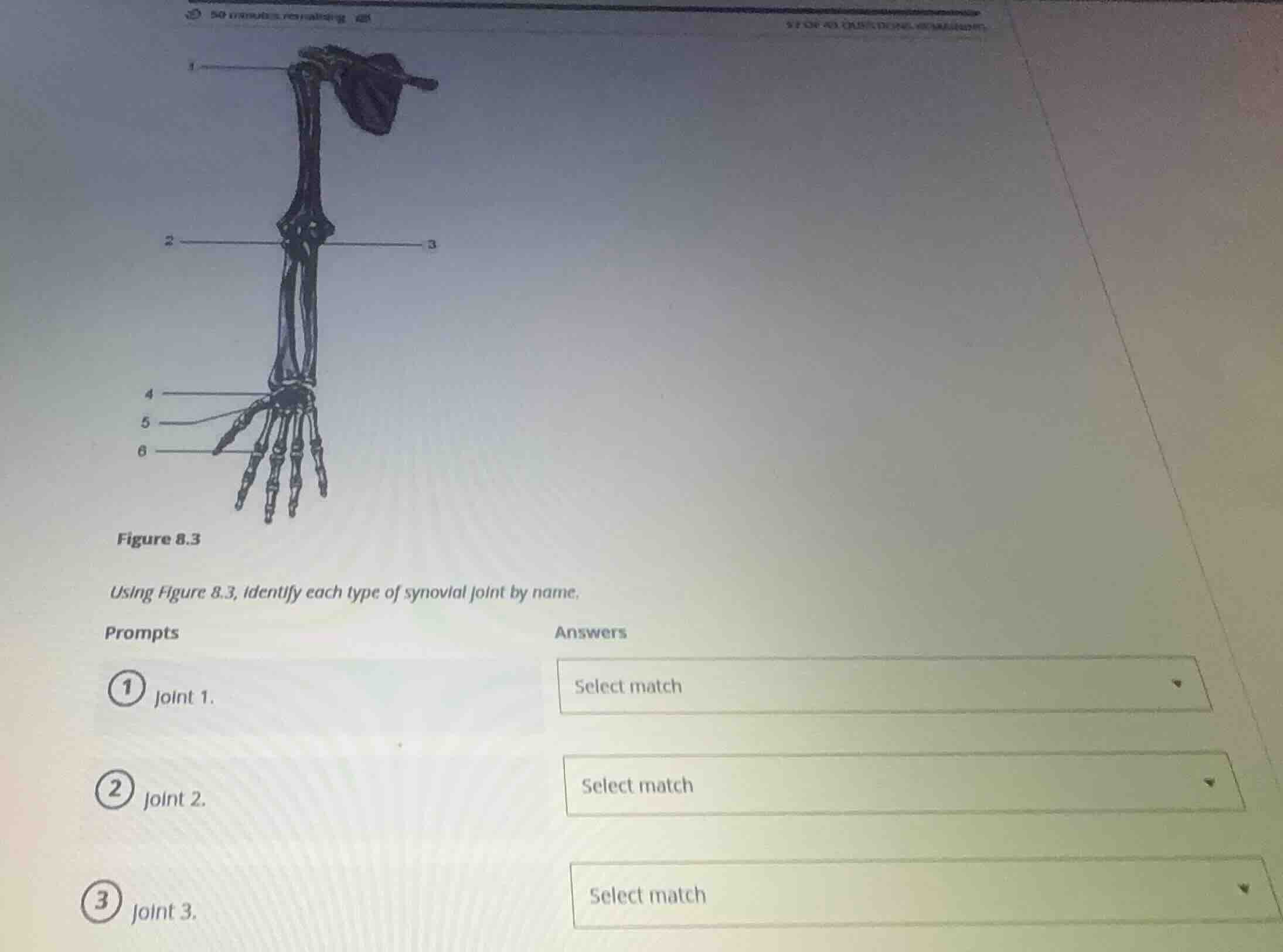 figure 8.3 using figure 8.3, identify each type of synovial joint by na…