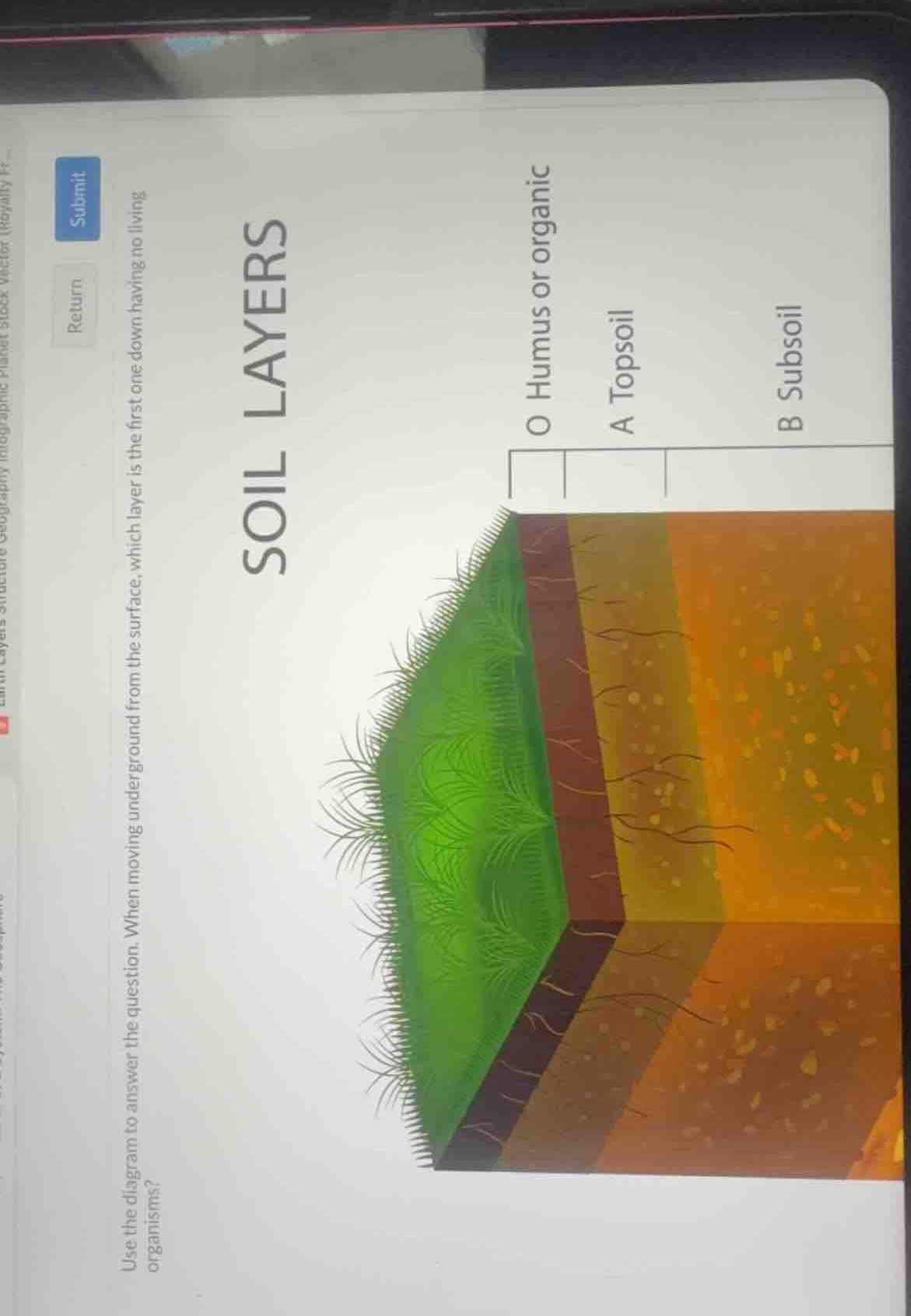 soil layers o humus or organic a topsoil b subsoil use the diagram to a…