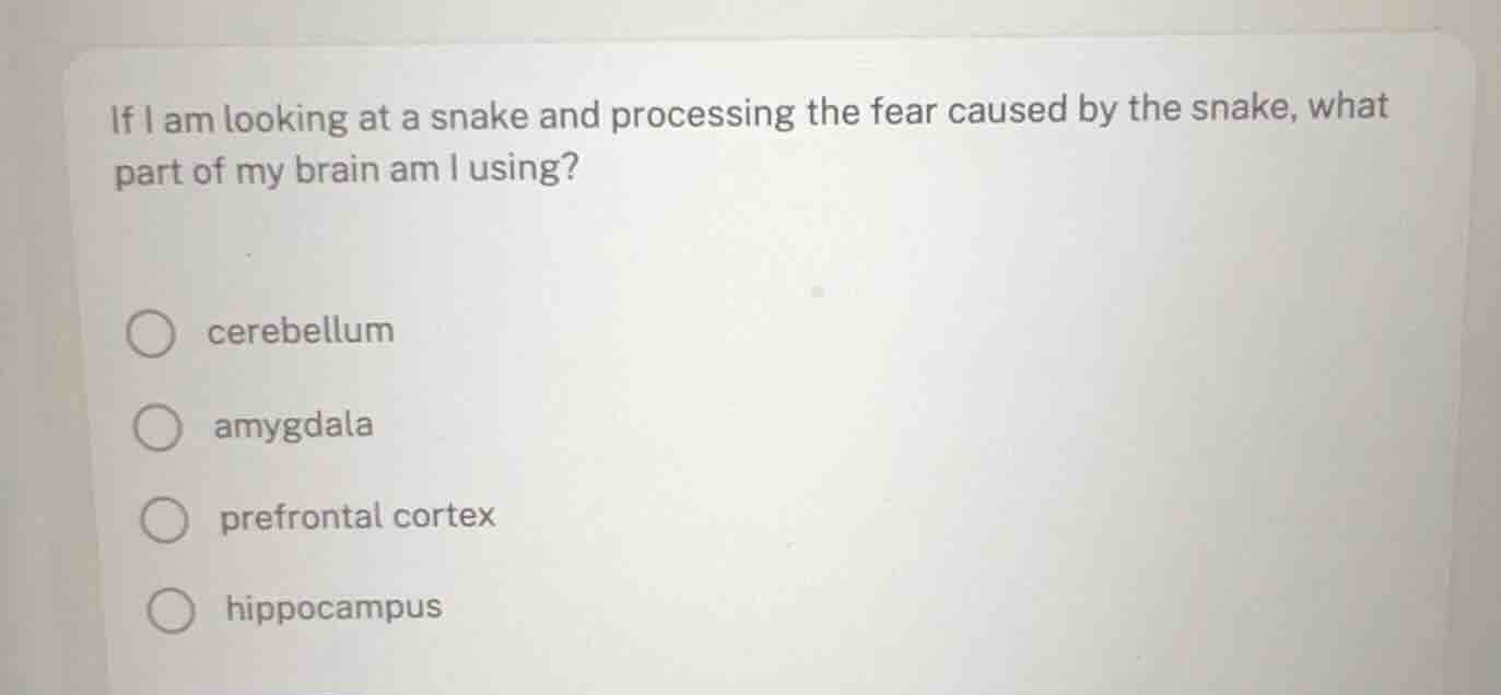 if i am looking at a snake and processing the fear caused by the snake,…