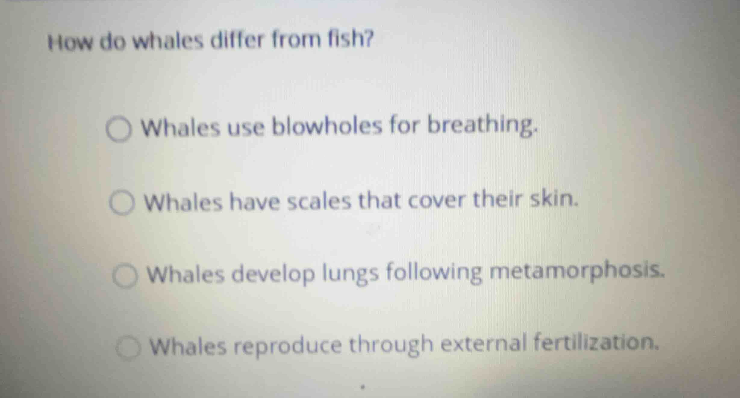 how do whales differ from fish? whales use blowholes for breathing. wha…