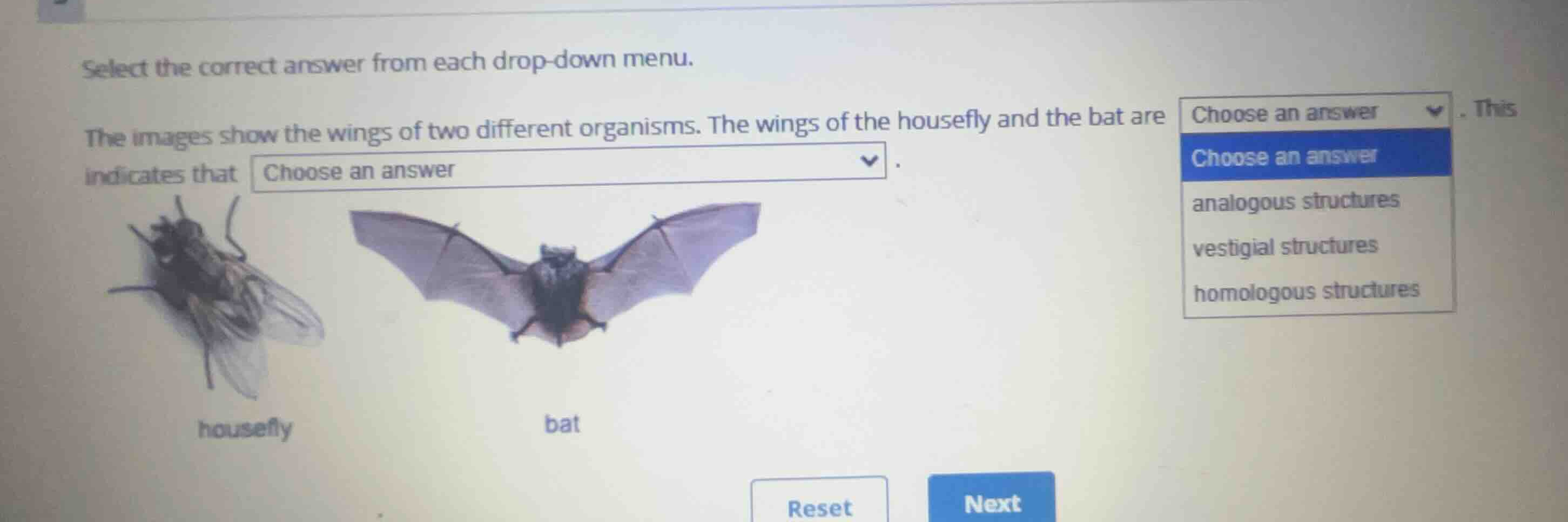 select the correct answer from each drop-down menu. the images show the…