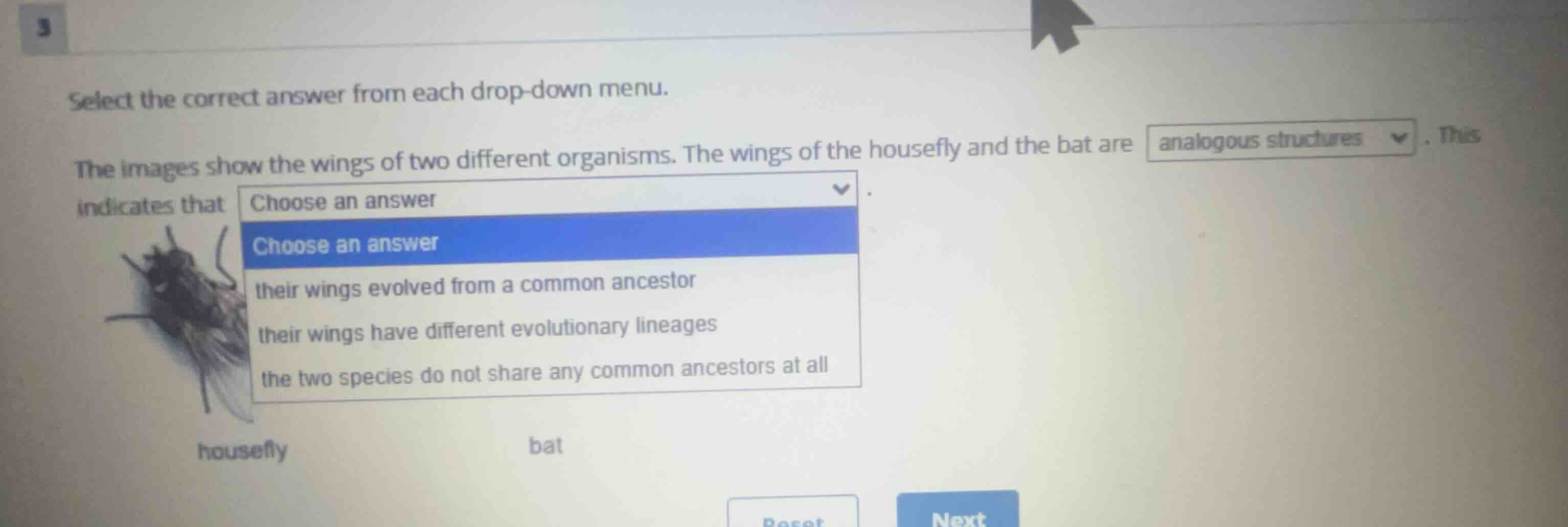select the correct answer from each drop-down menu. the images show the…