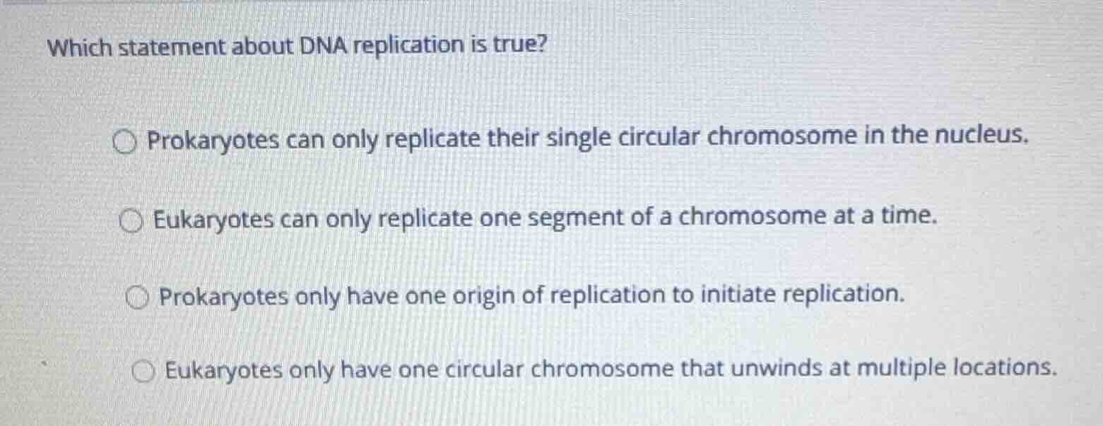 which statement about dna replication is true? prokaryotes can only rep…