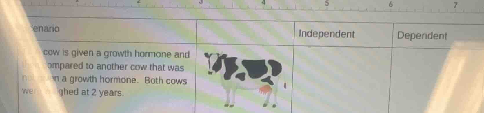 scenario: a cow is given a growth hormone and then compared to another …