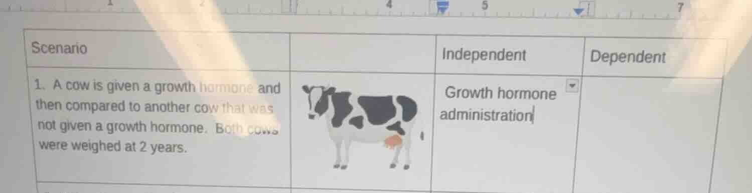 scenario 1. a cow is given a growth hormone and then compared to anothe…