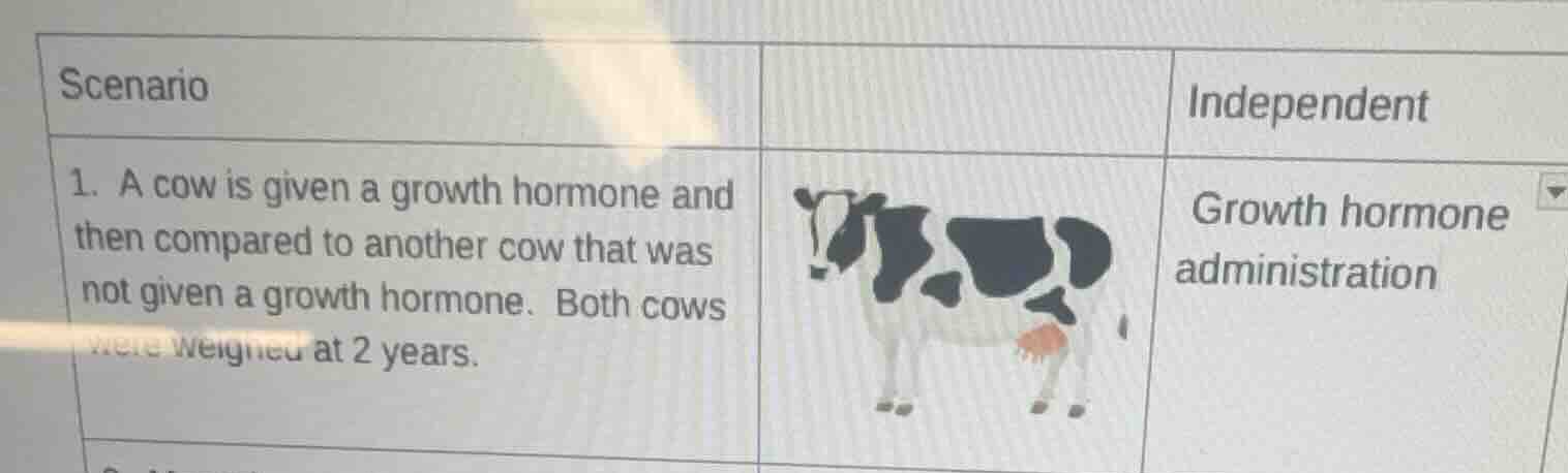 scenario 1. a cow is given a growth hormone and then compared to anothe…