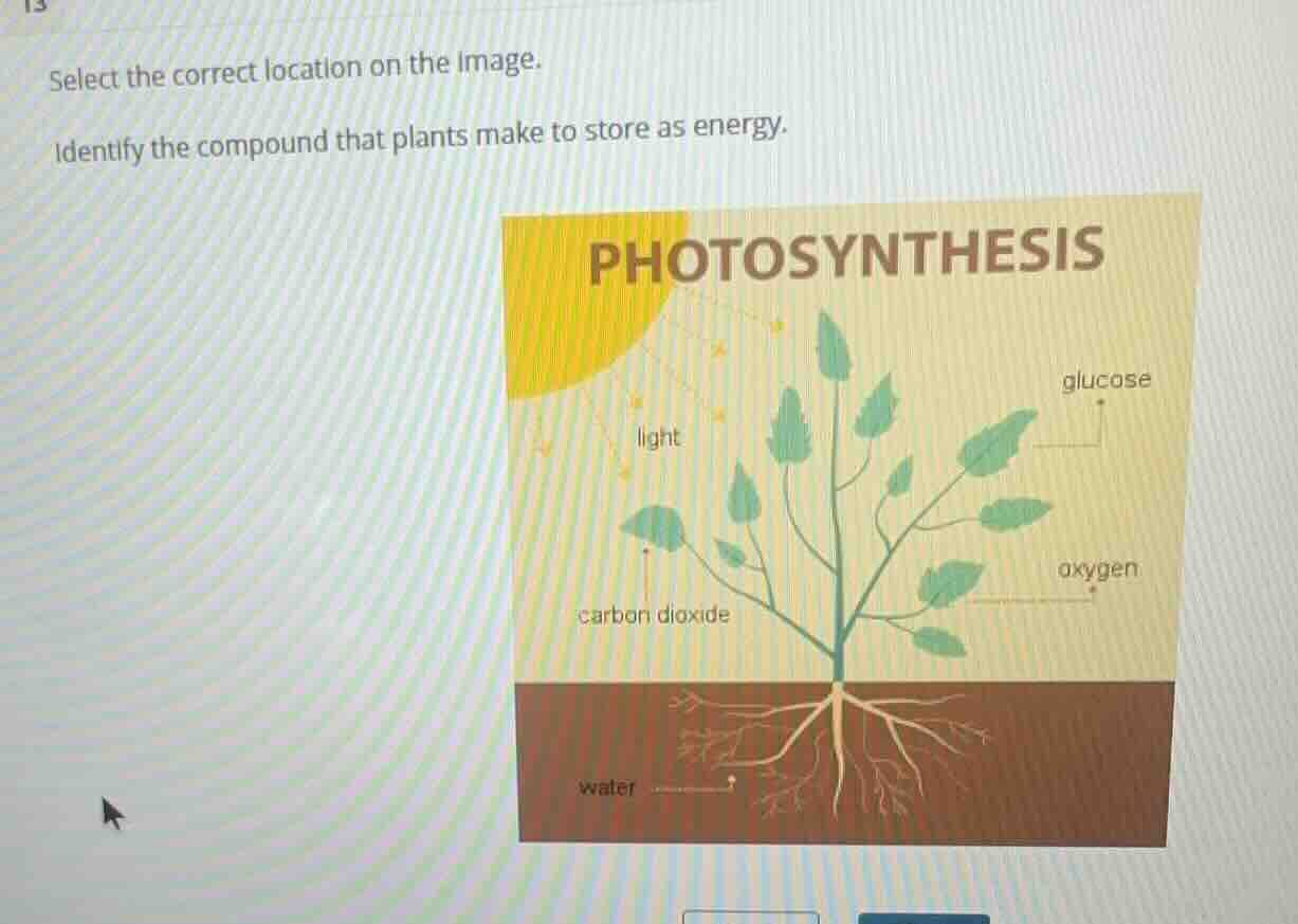 select the correct location on the image. identify the compound that pl…